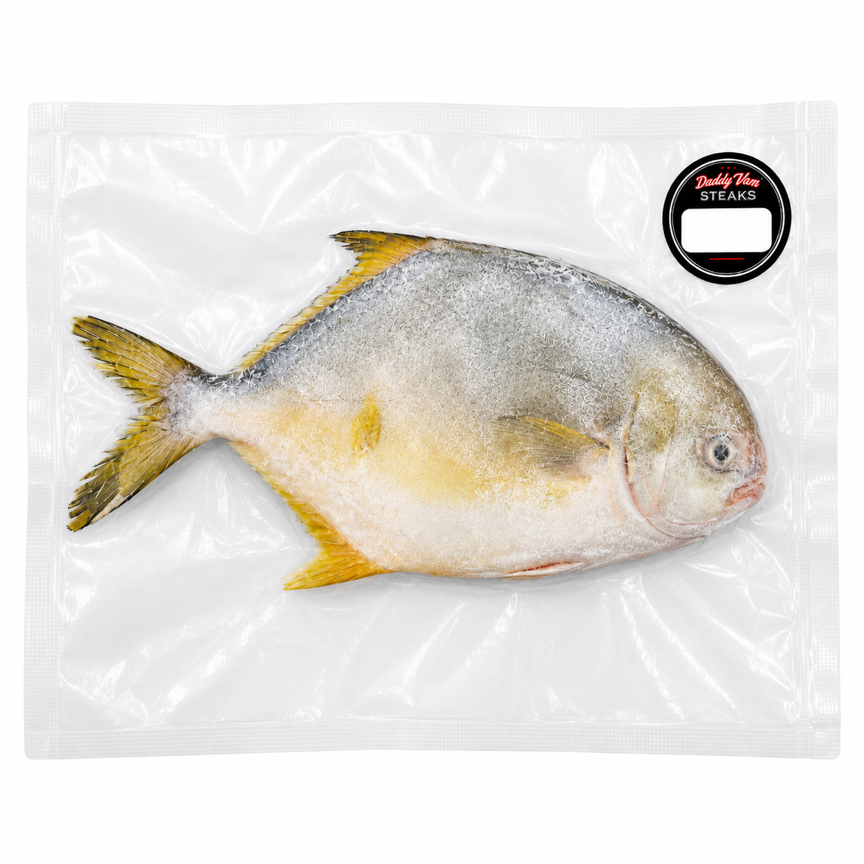 Golden Pompano